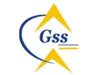 GSS